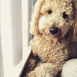 Meet your Posher, Erika